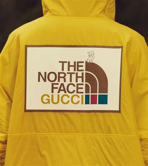 gucci x nirth face|north face x Gucci outlet.